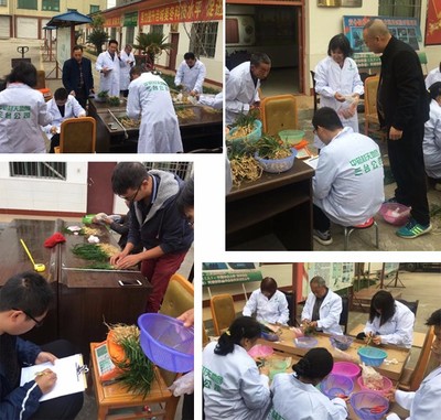 农药是“洪水猛兽”？——中药材种植中的农药使用与贸易平衡观察