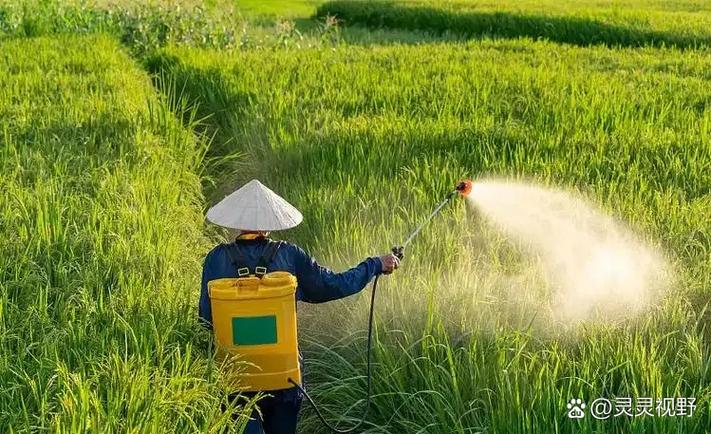 中国对印度氯氰菊酯实施反倾销 农药贸易的博弈与启示