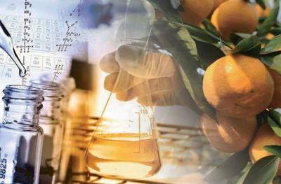 屡屡被曝残留超标，丙溴磷农药应用与贸易亟需引起高度重视